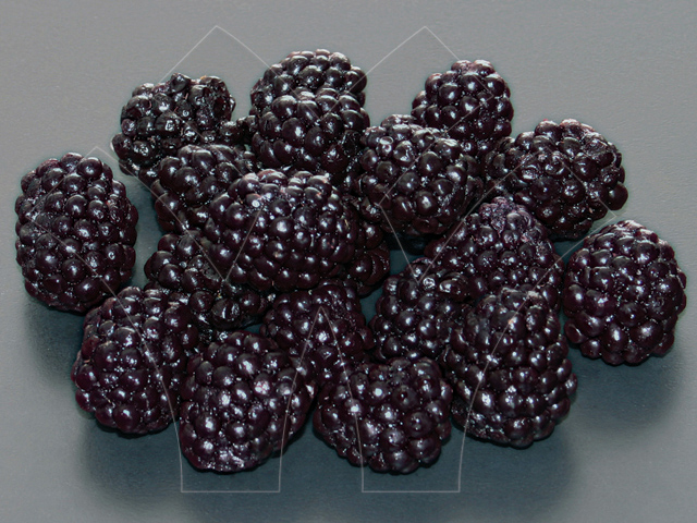 黑莓 